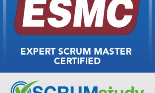Expert Scrum Master (ESM™)